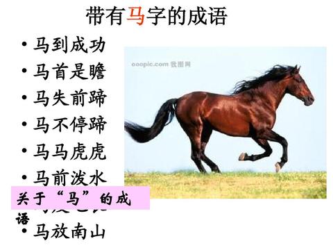 带有南字的诗句（带有前字的警句）