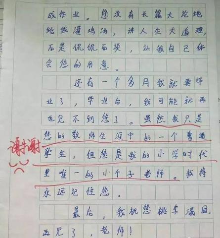 关于梦想的好句摘抄（梦想是什么句子优美）