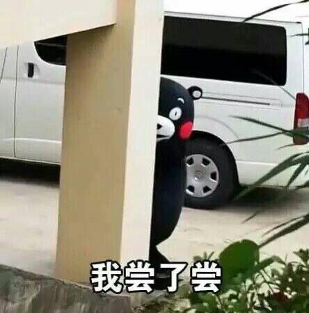 自由洒脱的文案（自由美好短句摘抄）