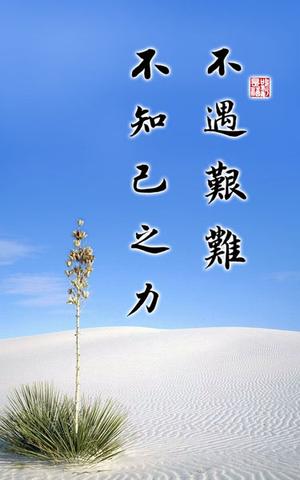 关于伯乐的唯美的句子（关于伯乐的名言名句祝福语）