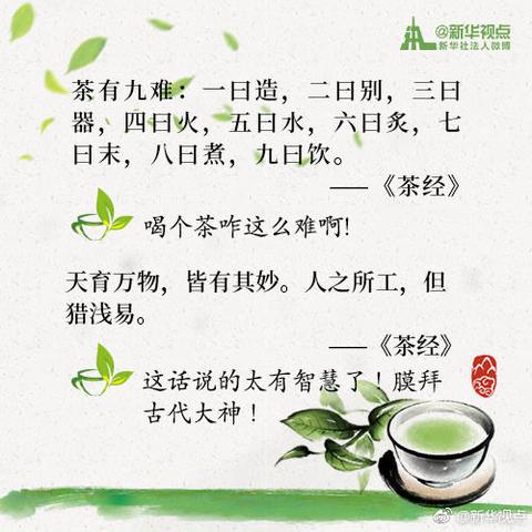 饮茶的唯美诗句（饮茶时的有哪些短语）