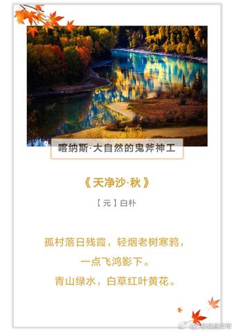 形容大自然风景富有生命力的句子（享受大自然的唯美说说）