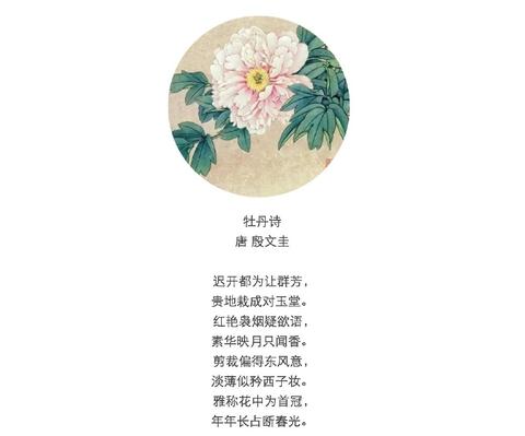 赞美牡丹花画的美的优美句子（赞美白牡丹诗句赠言）