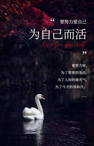 最近很流行的文案（最近流行的风格佳句）