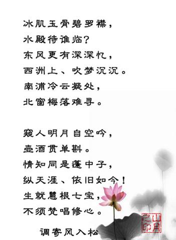 关于莲的诗句古诗20句（关于莲的20句寄语）
