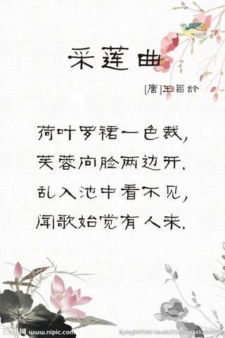 关于莲的诗句古诗20句（关于莲的20句寄语）