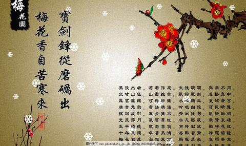 寒梅傲骨经典古诗（雪中梅花傲骨的诗句短语）