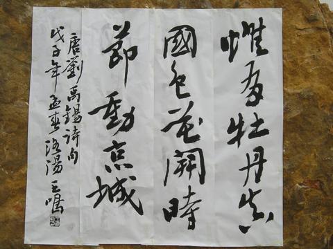 牡丹花诗词名句（最有名的牡丹诗句语句）