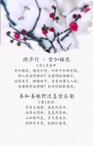 飞花令冬的诗句100首（飞字的飞花令警句）