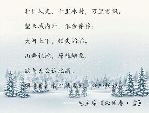 描写大雪纷飞的经典诗句（描写大雪纷飞的唯美寄语）