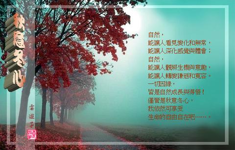描写夜色的好句摘抄（夜色的子名言）