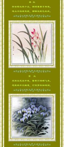 描写兰花品质的诗句（描写兰花高洁品质的佳句）