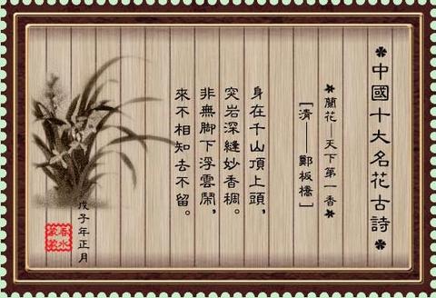 描写兰花品质的诗句（描写兰花高洁品质的佳句）