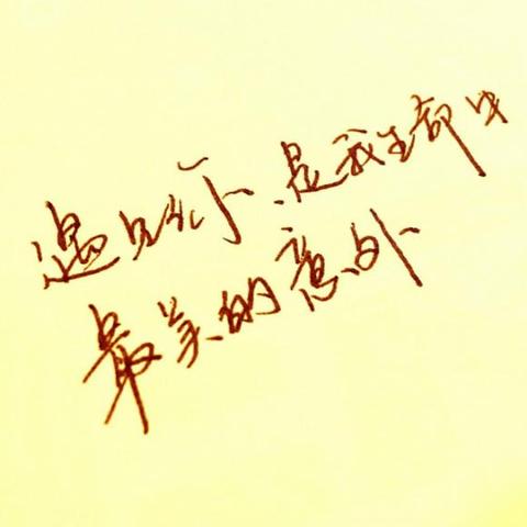 遇见作文开头结尾唯美句子（遇见你真好的暖心说说）