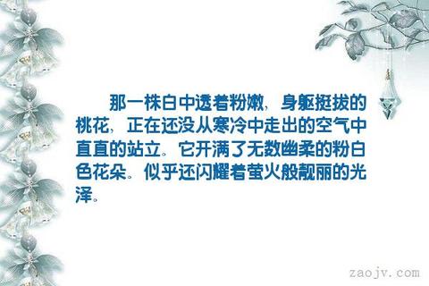 桃花的诗句唯美（桃花的经典名句佳句）