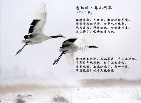 关于大雁的古诗名句（大雁南飞的唯美诗句语录）