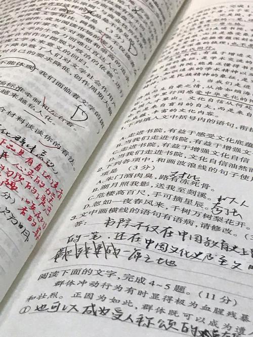 青春年华：放飞梦想的时光
