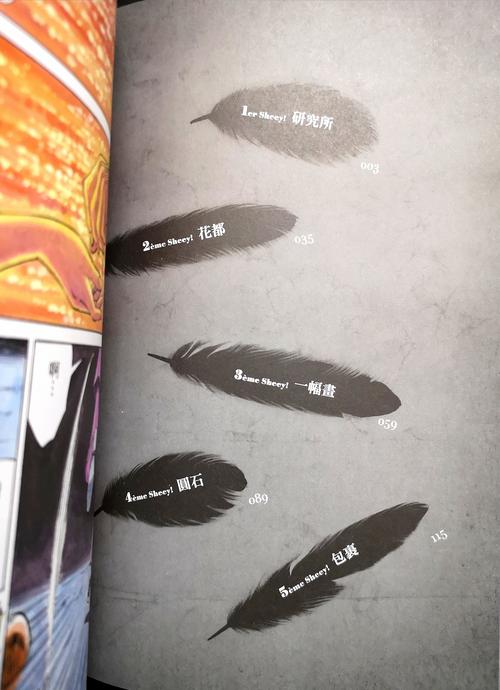 我与梦想的约定：坚持追逐，终将实现

