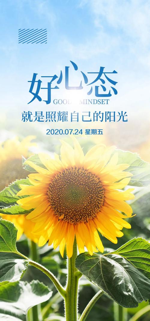 积极向上的早晨，阳光温暖了我们的心灵
