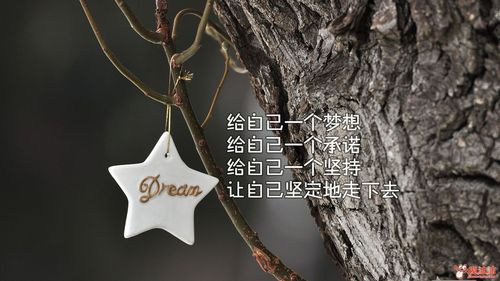 传递温暖的正能量名言（用唯美的语言诠释心灵之美）

