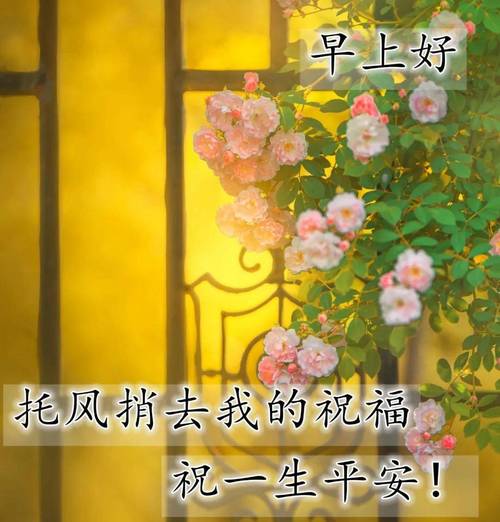 微笑着开始每一天（用唯美问候语点亮心灵）
