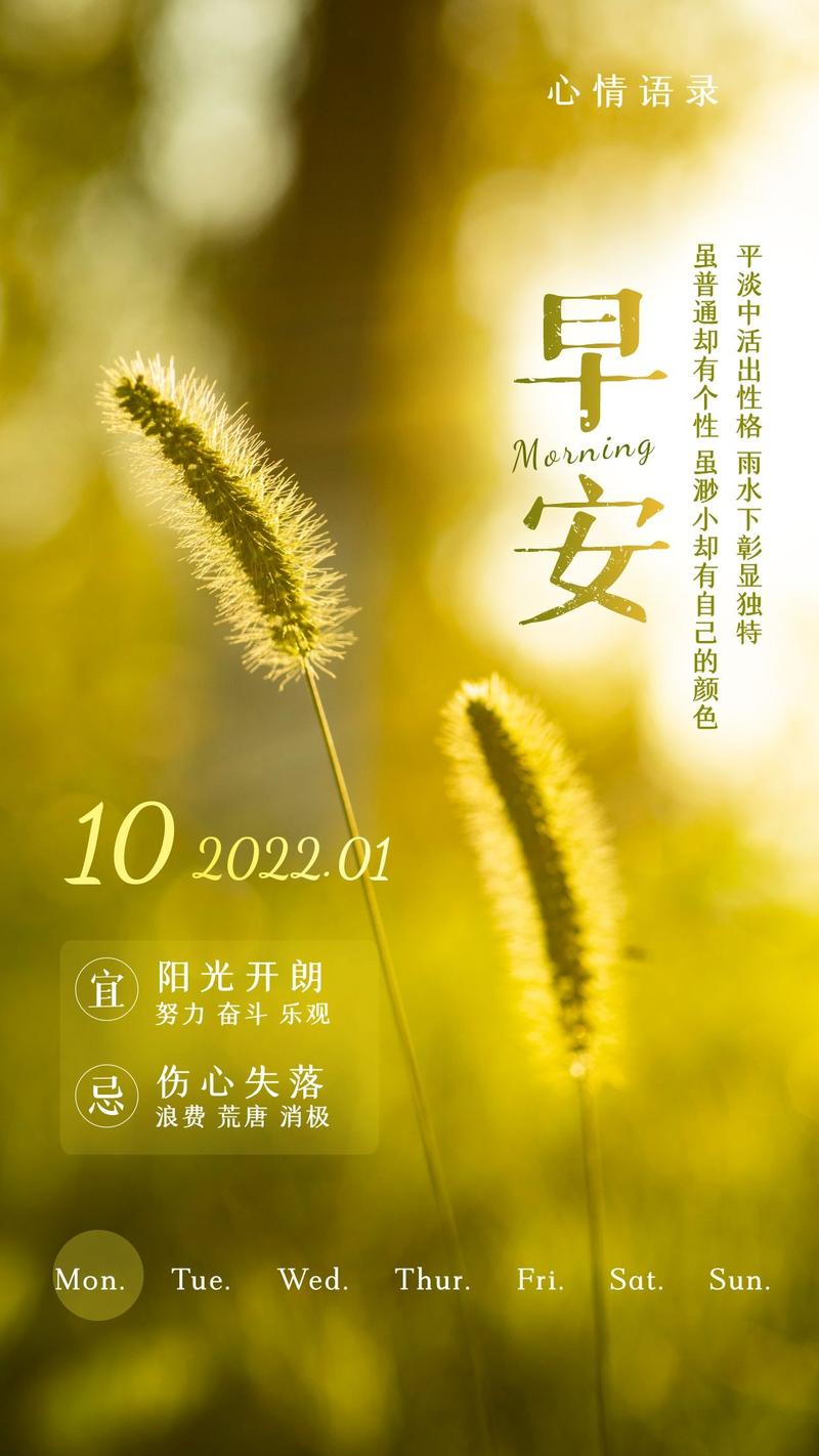 早安，让我们一起笑对新的一天！（25个搞笑句子让你快乐一整天）

