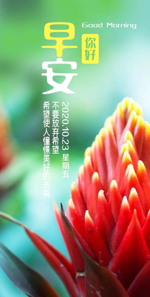 早上好，给你一份温暖
