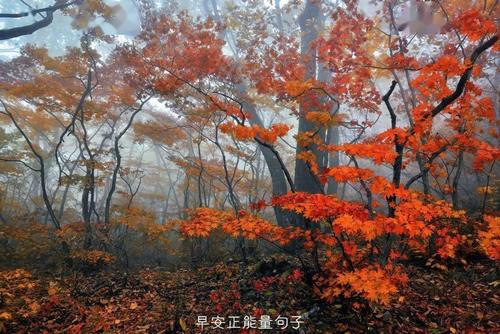 早安|与新的一天相遇
