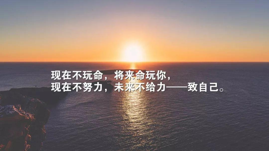 早安|与新的一天相遇
