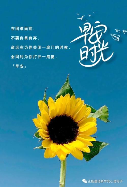 早安|与新的一天相遇
