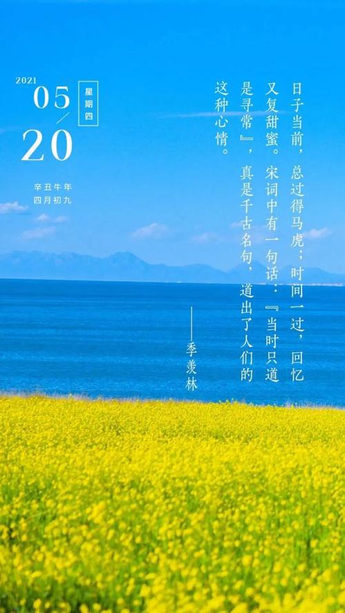 阳光照耀的世界
