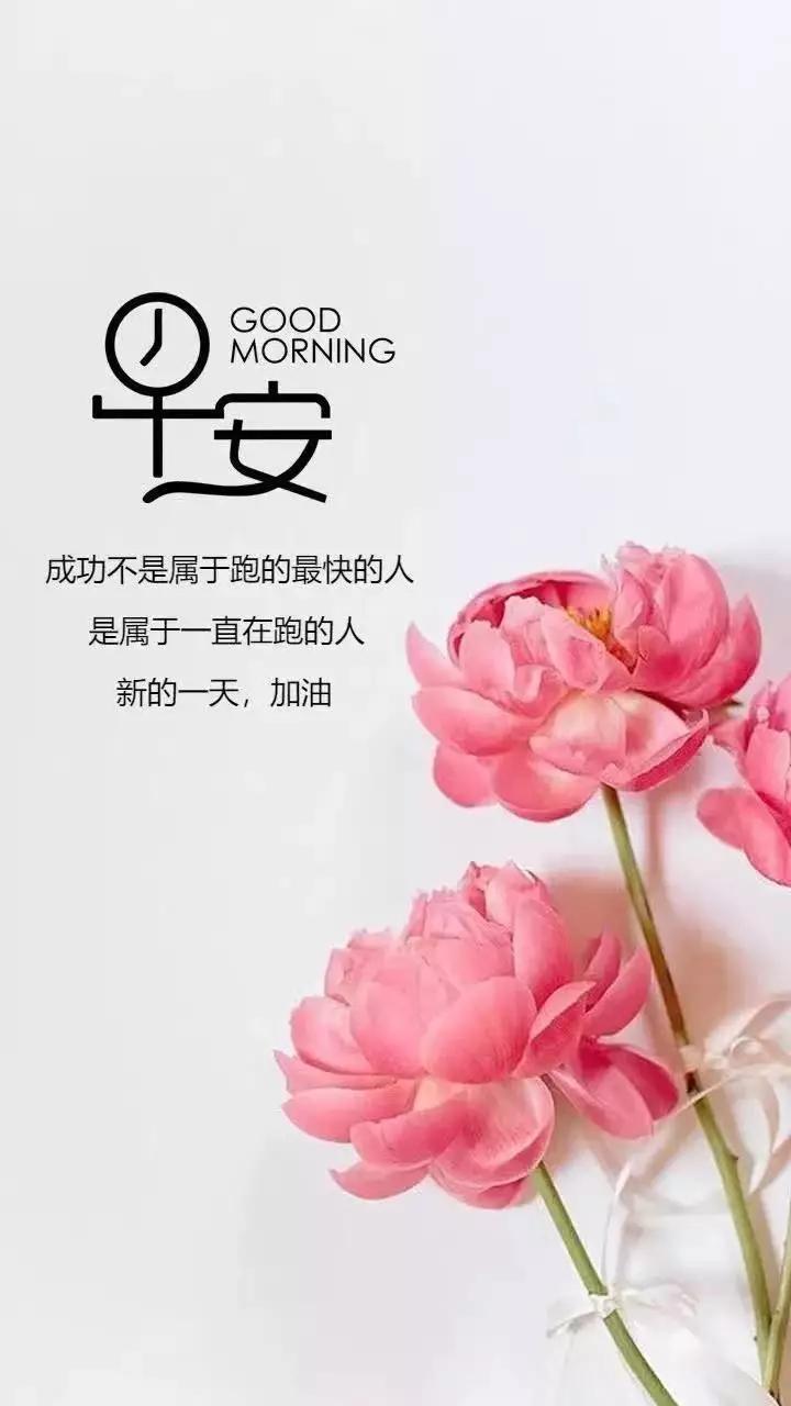 送你一句早安，温暖开始的一天（用心语传递正能量，让生活充满阳光）
