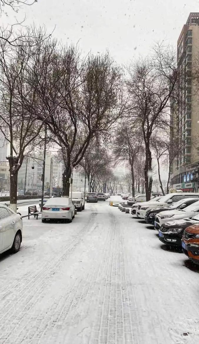 赞美第一场雪，感受冬季温暖
