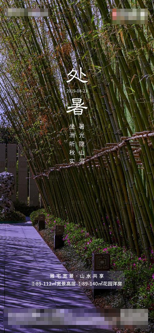 夏末秋初，回忆往昔，展望未来
