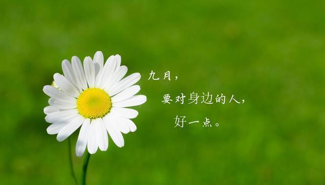 《岁月如歌，相逢离别总有情》
