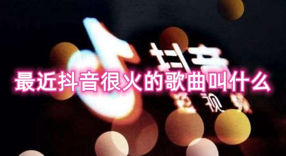 唯美短句带你探讨
