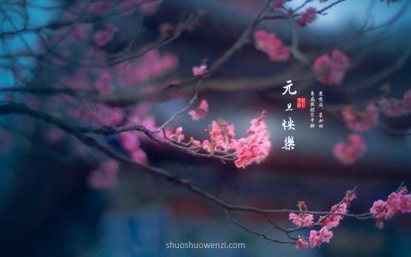 欣赏岁月风华，珍视美好生活
