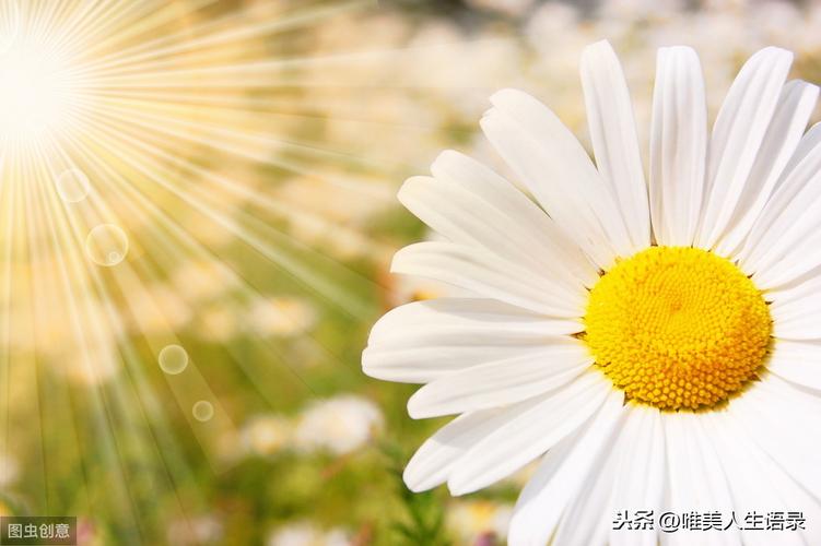 唤起心灵深处的感动——珍惜好句子经典（探寻珍惜当下的艺术之美）
