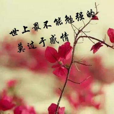 唤起心灵深处的感动——珍惜好句子经典（探寻珍惜当下的艺术之美）
