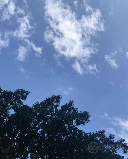 六月，你好——唯美短句之旅
