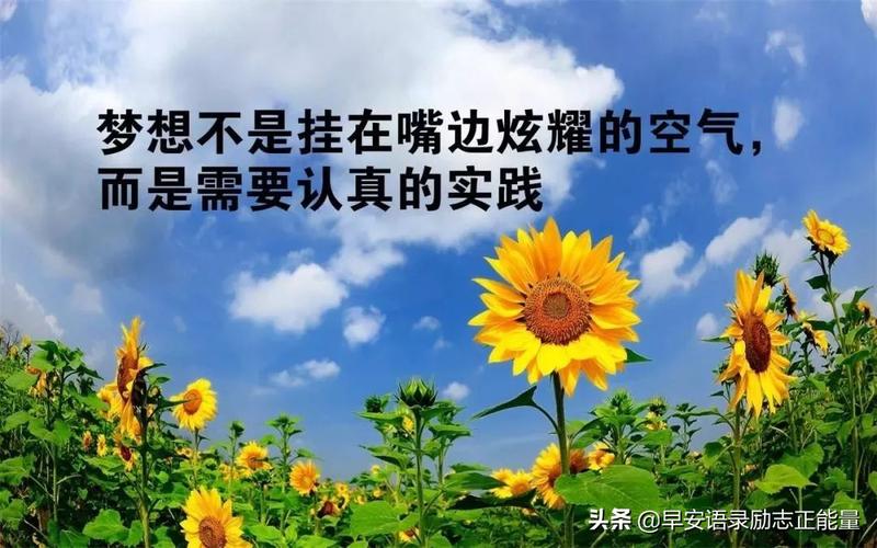 生活如歌，勇往直前（坚韧不拔的人生信仰）
