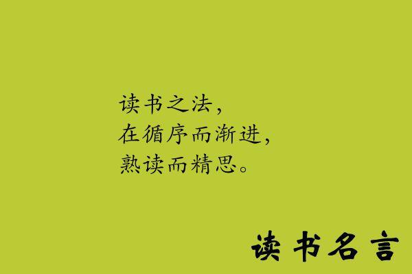 读书名言助你踏上知识的征程

