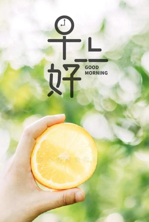 迎接2023的美好早晨（用唯美句子记录生活点滴）
