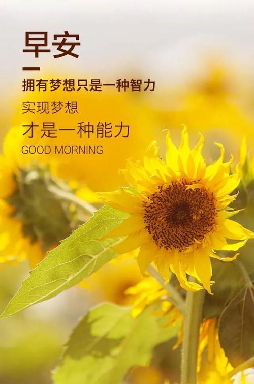 只要坚持，就能飞向未来
