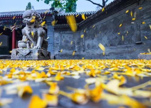《秋雨寒》：一场带来灵魂震撼的秋雨
