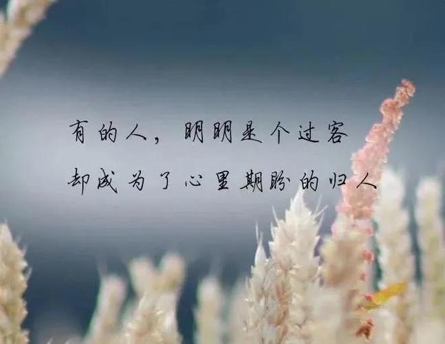 诉说内心的不安与痛苦
