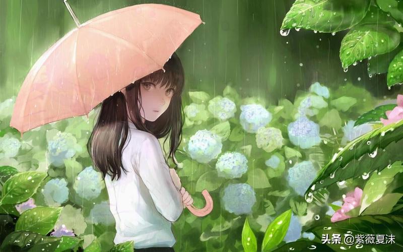 秋雨的唯美（洒落的琼珠，如梦如幻）
