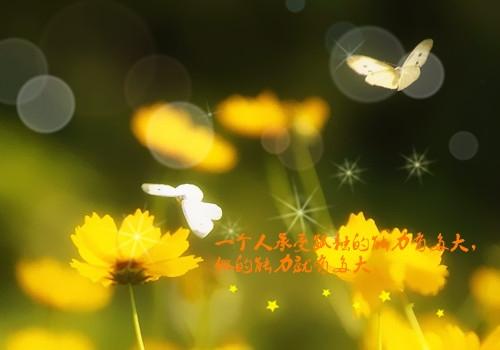 主题：坚持自我
