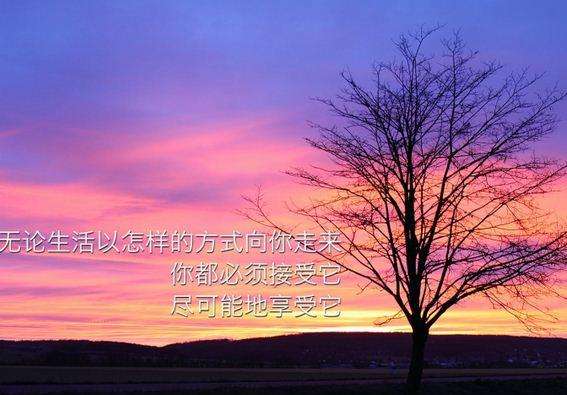 以心向阳，迎接美好生活（唤醒内心正能量，释放自我光芒）
