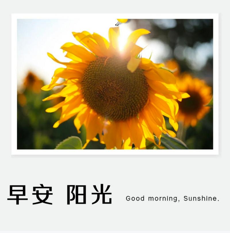从晴天到阴天，再回到晴天（一个人的心情变化）
